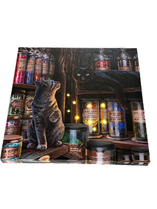 Lisa Parker &quot;Emporium &quot; Light up canvas
