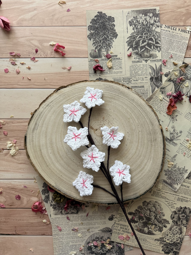 Fleur de cerisier blanche