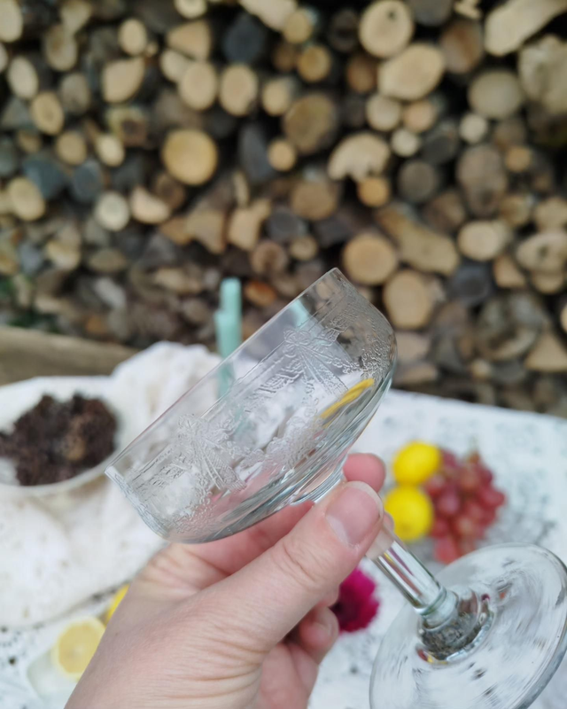 Coupettes à Champagne 