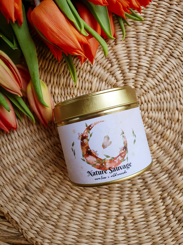 bougie bijou x wild amanda