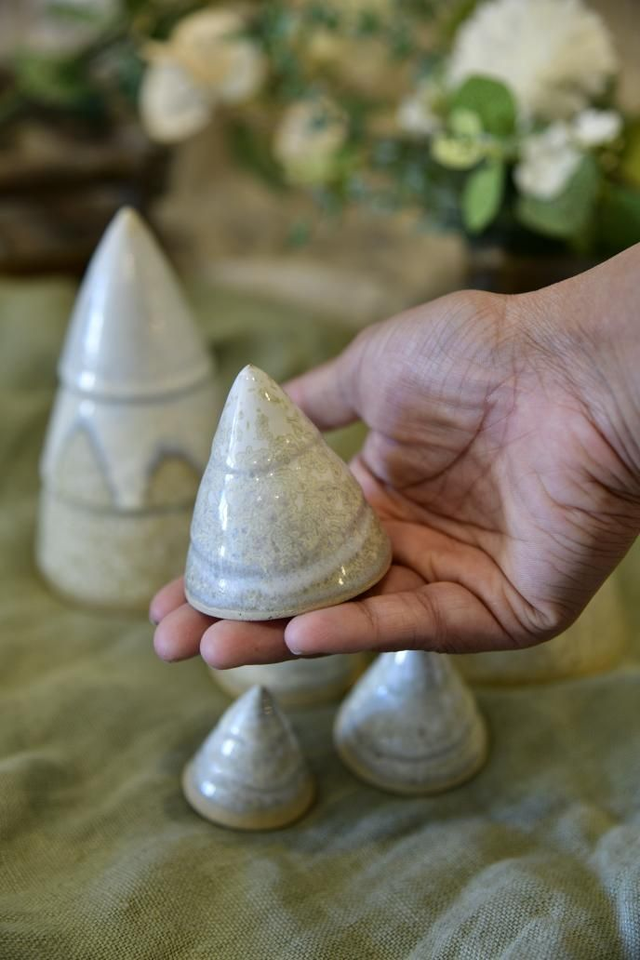 Forêt Sapin de Noël