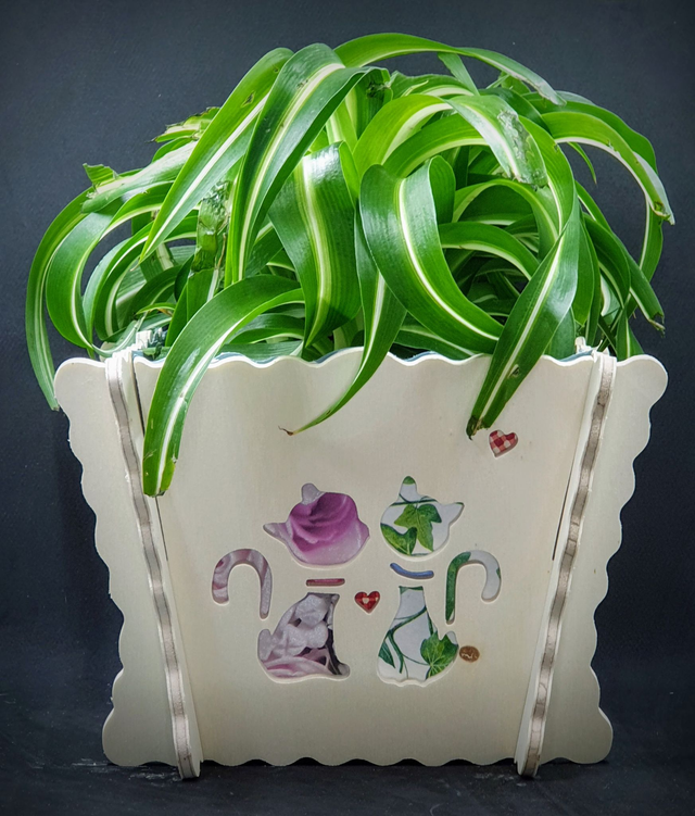 Cache-pot d&#039;intérieur motif couple de chats