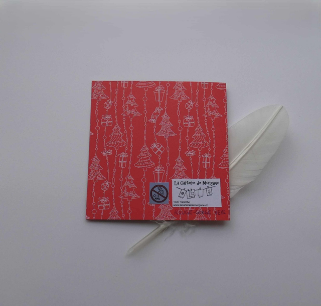 Le rouge-gorge de Noël