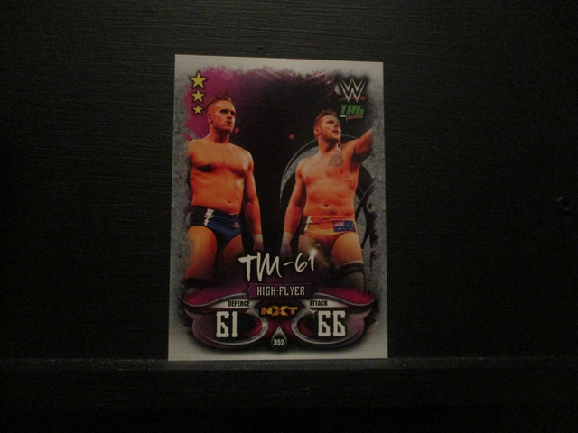 TM-61 - Tag Teams Slam Attax Live Original Trading Card #352