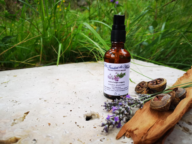 macérat d&#039;origan biologique.