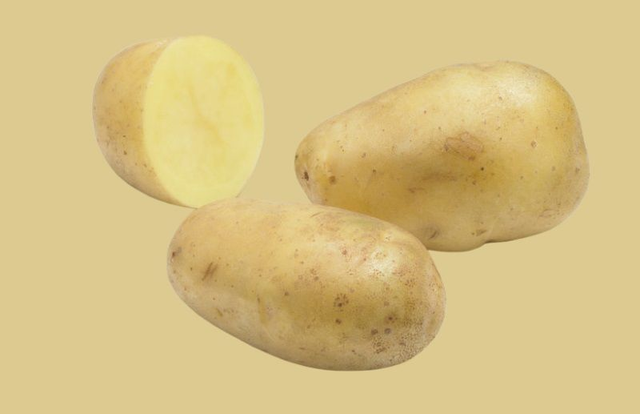 Elodie – Rendement élevé et polyvalence