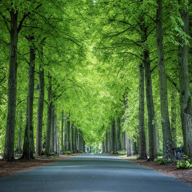 Grüne Promenade