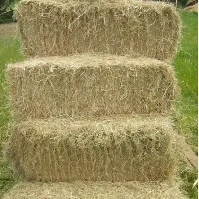Sq bale of hay
