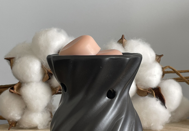 Brûleur noir spirale