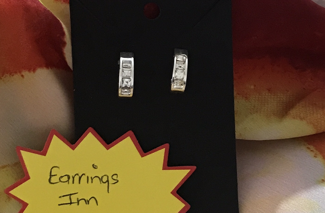 Silver Coloured Stud Earrings- STU35