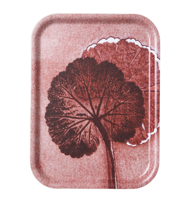 Tablett eckig Geranie rose