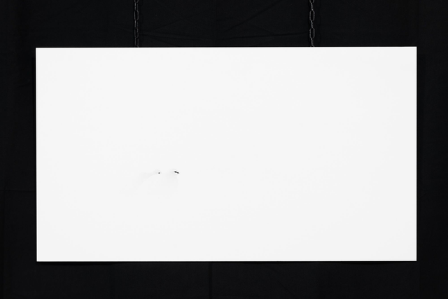 Photo &quot;Fjällripa&quot; en grand format et très haute qualité