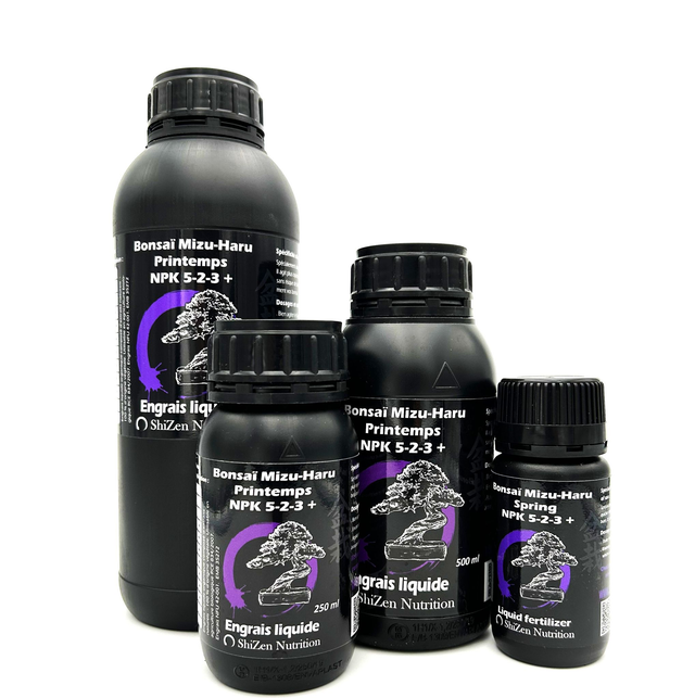 Bonsaï Mizu-haru Printemps 5-2-3+