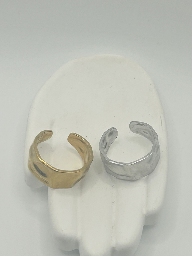 Stainless Steel Ring (SSR131J)