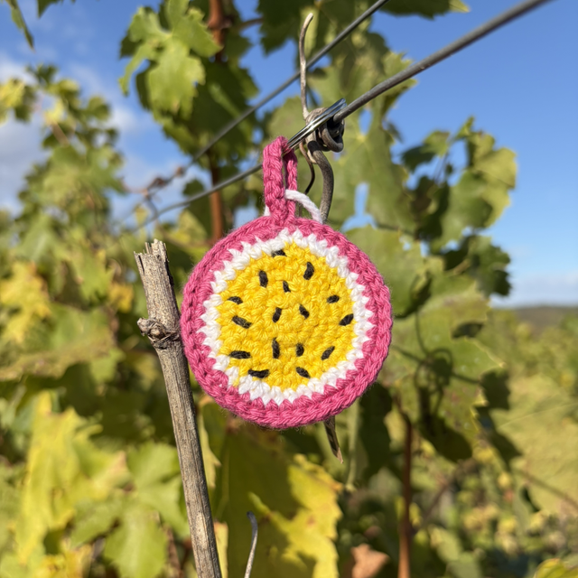 Passion Fruit Fidget Keychain