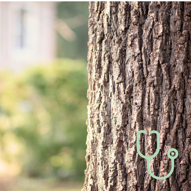 Soutien doux pendant la chimio