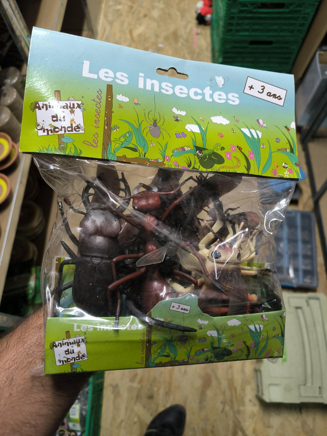 SACHET LES INSECTES 