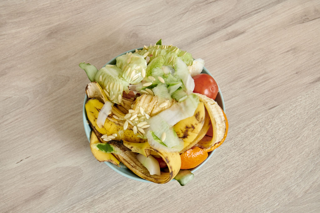 DEMO TEROEKODRY PREMIUM