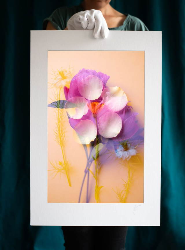 Collection du printemps * 18