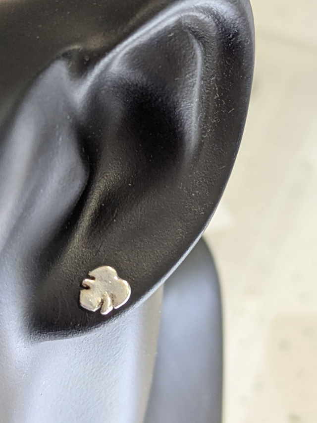 Medium Tropical Leaf Earrings