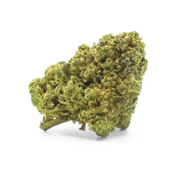 Tropical Kush Indoor