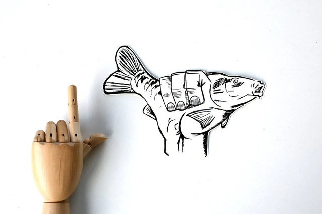 CARP SHAKA CAR STICKER I MEDIUM