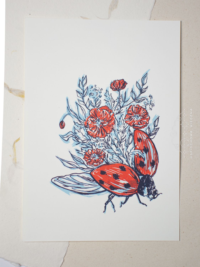 Print Biedronka z makami | ZWIERZĘTA