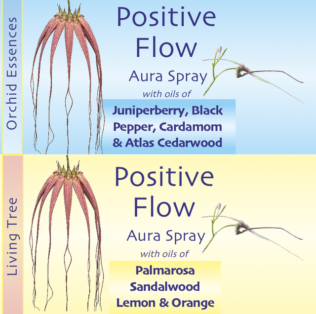 Positive Flow Aura Spray