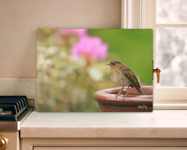 "Baby Robin" Glass Worktop Saver   