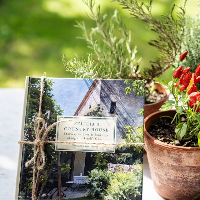 Felicia’s Country House ~ Tales from the Country House | The Book