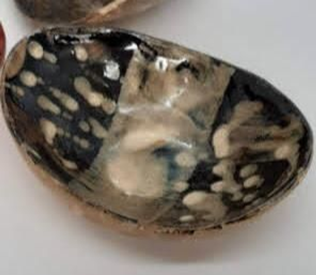  Vendu Bol rutile temmoku oval