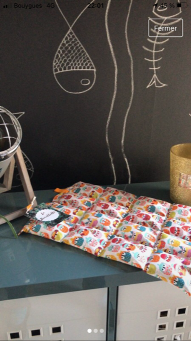 Bouillotte graine de lin bio - XXL 30x45 cm - tissu chouettes