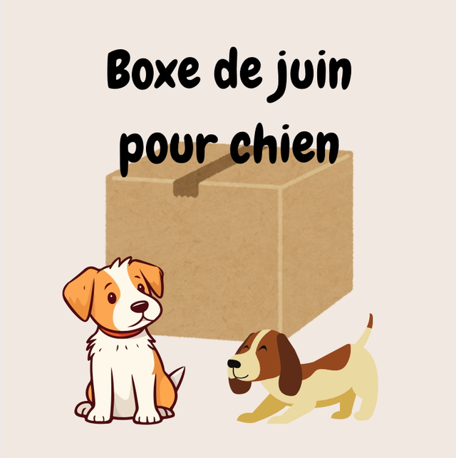 boxe de juin pour chien