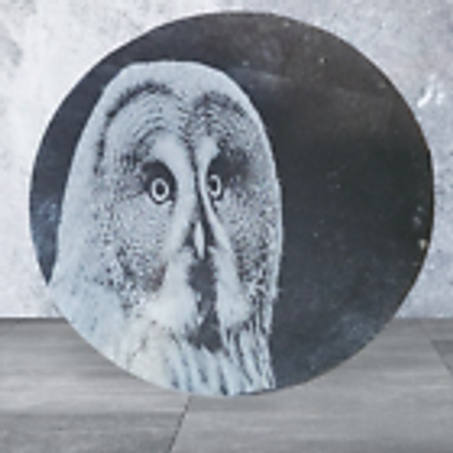 Slate Coaster - Round - Tawny Owl