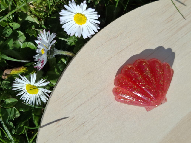 La tchiote broche coquillage 