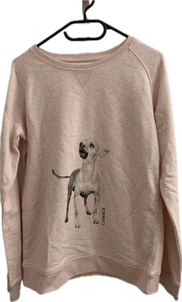 Pull Fin Rose Chiné "Chihuahua" (Taille M)
