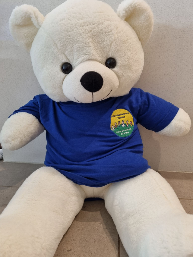 New: short sleeved t-shirt