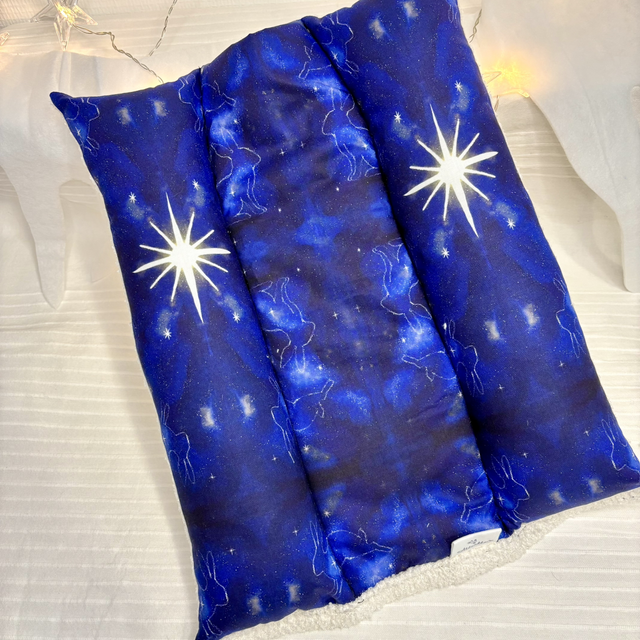 Snugabun Albertha's "Constellation"