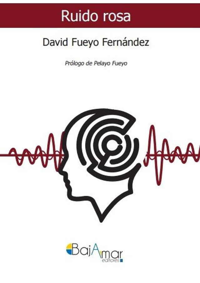 LIBRO RUIDO ROSA DE DAVID FUEYO FERNÁNDEZ-BAJAMAR EDITORES-
