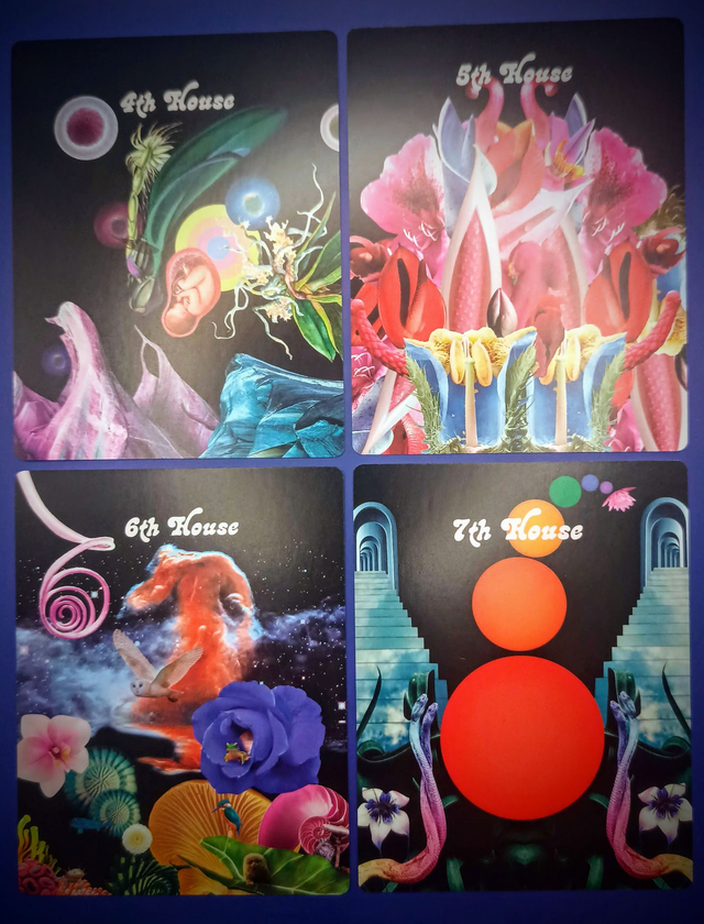 Celestial Bodies Astrology and Numerology Deck: for learners and practitioners * by Devany Amber Wolfe