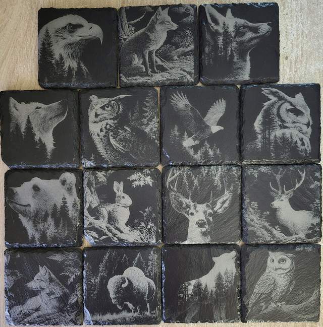 Animaux et rapaces de la forêt