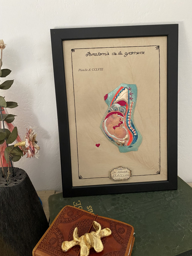 Planche anatomique grossesse bleu et rose fluo