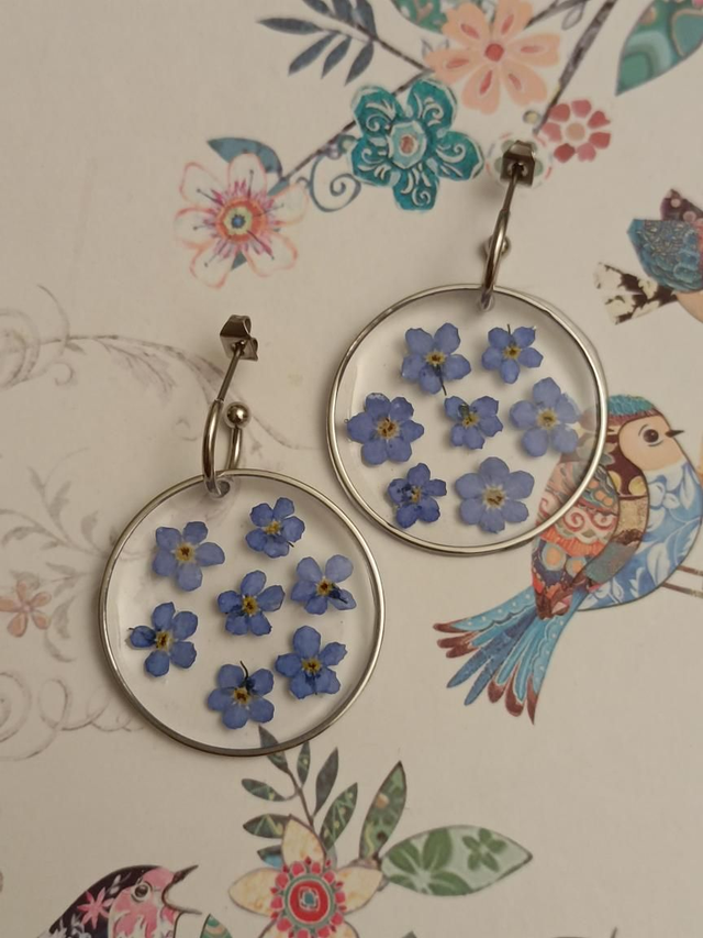 Modèle unique - Myosotis 