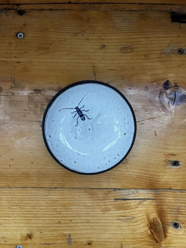 Dessert Teller Alpenbock (MSM) ca 14 cm