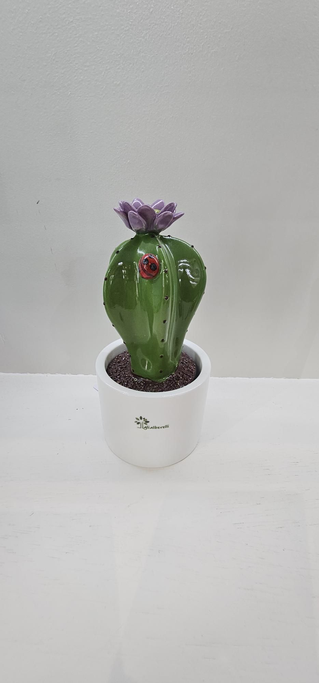 Piantina cactus h 17 cm