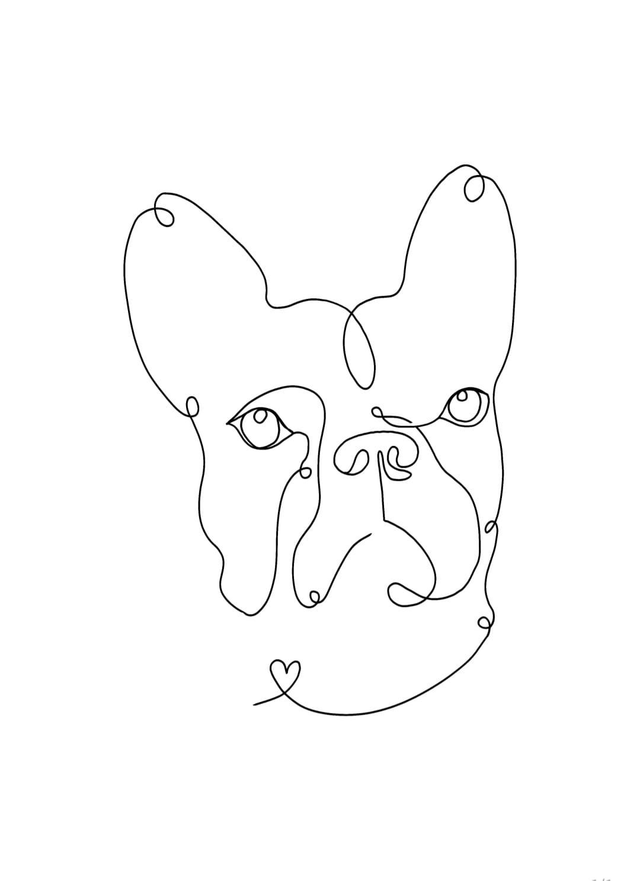 Dog Portrait Line Drawings