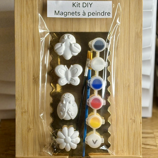 Kit de magnets à peindre (Insectes)
