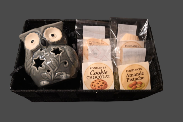 Coffret brûle-parfum hibou gris avec fondants parfumés