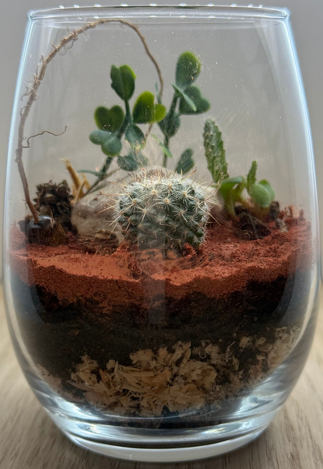 Bowo® NAMIBIE connecté Home 