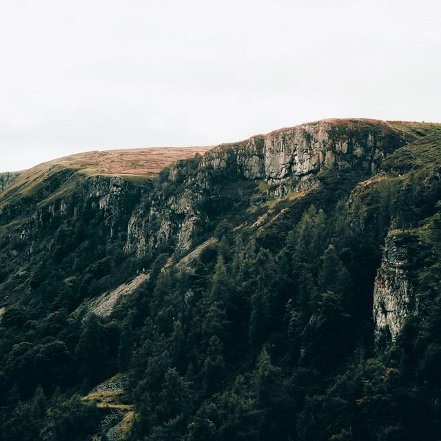 The Collection (50 Lightroom Presets)